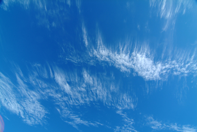 Image Concealment Films - MH Studios